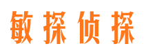 盐边市调查公司